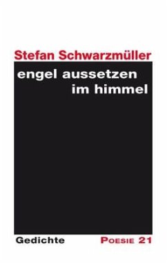 engel aussetzen im himmel - Schwarzmüller, Stefan