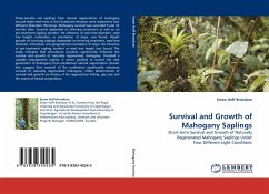 Survival and Growth of Mahogany Saplings