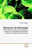 Ökonomie der Bioenergie