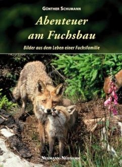 Abenteuer am Fuchsbau - Schumann, Günther