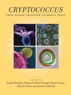 Cover Cryptococcus