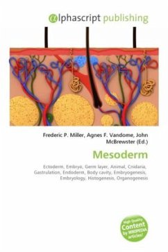 Cover Mesoderm
