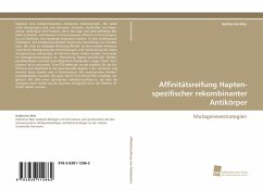 Affinitätsreifung Hapten-spezifischer rekombinanter Antikörper - Klee, Katharina