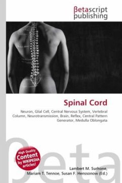 Spinal Cord