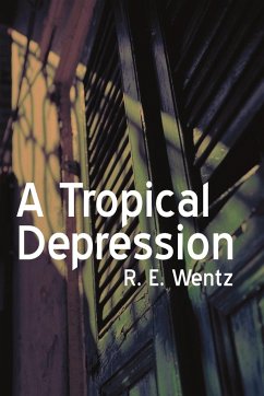 A Tropical Depression - R. E. Wentz, E. Wentz