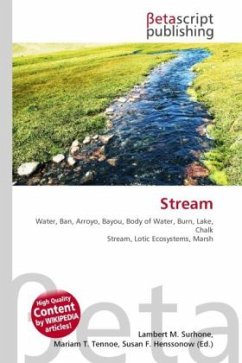 Stream