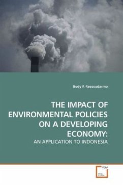 THE IMPACT OF ENVIRONMENTAL POLICIES ON A DEVELOPING ECONOMY: - Resosudarmo, Budy P.