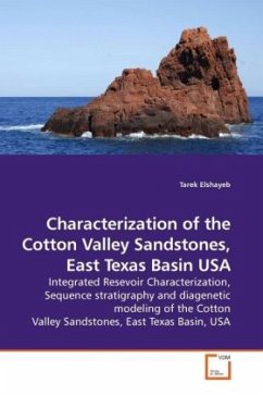 Characterization of the Cotton Valley Sandstones, East Texas Basin USA - Elshayeb, Tarek