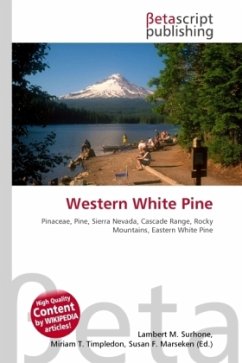 Western White Pine