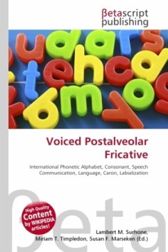 Voiced Postalveolar Fricative