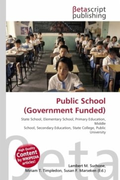 Public School (Government Funded)