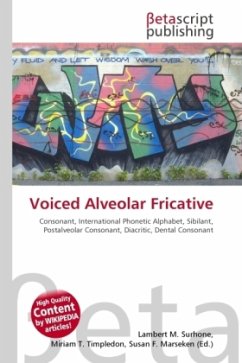 Voiced Alveolar Fricative