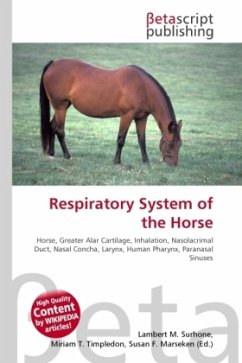 Respiratory System of the Horse