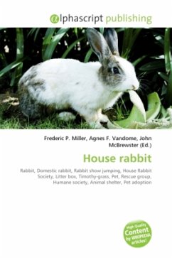 House rabbit