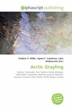 Arctic Grayling