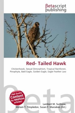 Red- Tailed Hawk