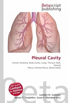 Pleural Cavity