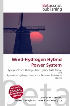 Wind-Hydrogen Hybrid Power System