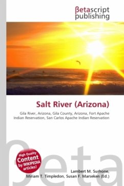 Cover Salt River (Arizona)
