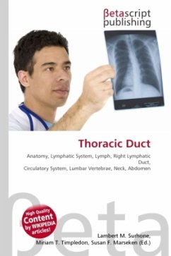 Thoracic Duct