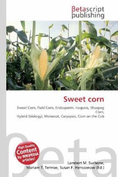 Sweet corn