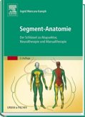 Segment-Anatomie