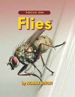 Focus on Flies - Dixon, Norma