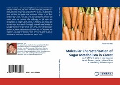 Molecular Characterization of Sugar Metabolism in Carrot - Yau, Yuan-Yeu