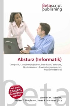 Absturz (Informatik)