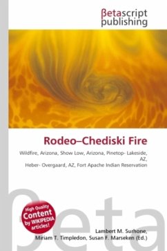 Rodeo-Chediski Fire