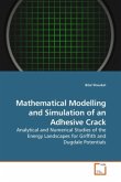 Mathematical Modelling and Simulation of an Adhesive Crack