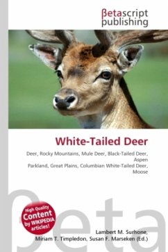 White-Tailed Deer