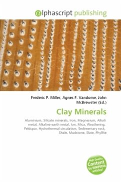Clay Minerals
