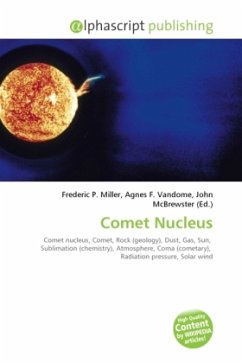 Comet Nucleus