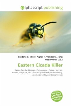 Eastern Cicada Killer