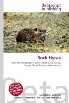 Rock Hyrax