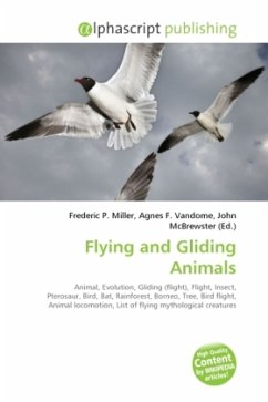 Flying and Gliding Animals