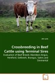 Crossbreeding in Beef Cattle using Terminal Sires