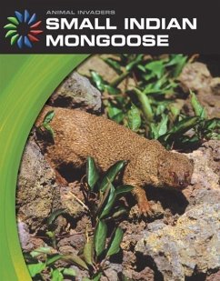 Small Indian Mongoose - Somervill, Barbara A