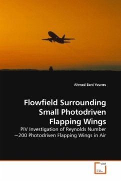 Flowfield Surrounding Small Photodriven Flapping Wings - Bani Younes, Ahmad