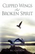 Clipped Wings and Broken Spirit - Bild 1