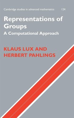 Representations of Groups - Lux, Klaus