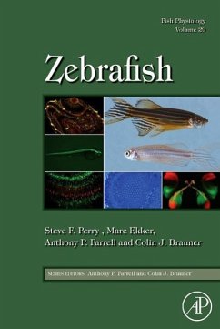 Fish Physiology: Zebrafish - Fish Physiology: Zebrafish