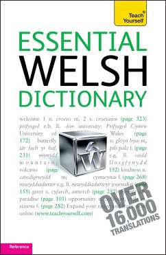 Essential Welsh Dictionary: Teach Yourself - Lewis, Edwin