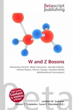 W and Z Bosons