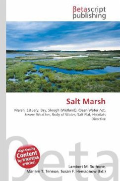 Salt Marsh