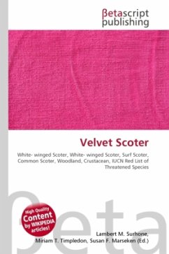 Cover Velvet Scoter
