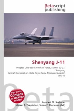 Shenyang J-11