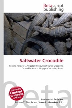 Saltwater Crocodile