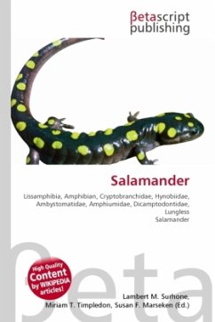 Salamander